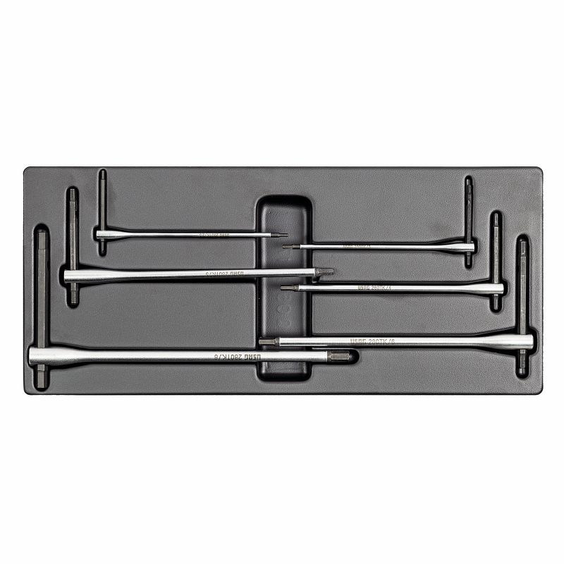 Modulo in termoformato assortito (6 pz) 519/280TK