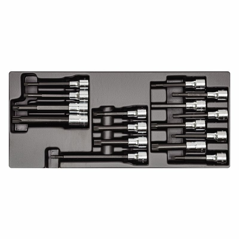 Modulo in termoformato assortito (16 pz) 519/233A