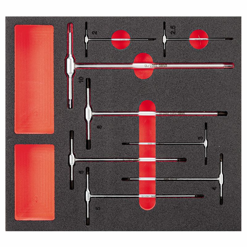 Modulo in spugna bicolore assortito (8 pz) 519 M 280T